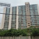 강서구-77 이미지