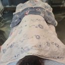 내포한의원 | 홍성 내포마사지 후기｜최근 2개월 꾸준한 손저림 관리기!!