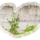 <b>초코맘</b>님 나눔 도착 소식 전해요~!