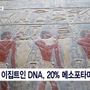 고대1080 이미지