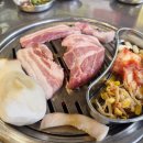 꿈의당구장 | 맛있는거 많이 먹는게 쩍이의 꿈!/영화 마이클 후기 20260601~20260607