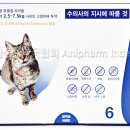 건강한마을약국 이미지