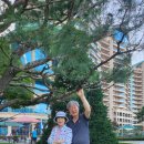 2025.8.10~11.홍천대명콘도소노밸리채 이미지