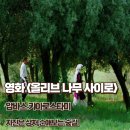 자서전 쓰기:내 삶을 캐스팅 하다 | 올리브 나무 사이로 후기 줄거리 결말 상처는 지진 순애보는 숲길