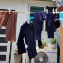 내미농박 이미지