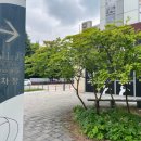 광양 금호동 골프연습장 에이치엠골프아카데미(HM) 다녀온 후기