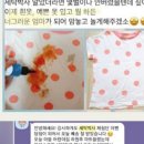 박사 세탁 이미지