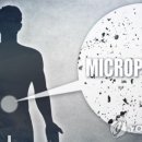 레몬라이프 이미지