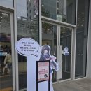 11545-04-00-09 | 명조 X 갤럭시스토어 팝업 <치사와 방과후의 약속> 방문 후기