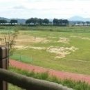 백진공원(야구장) 이미지