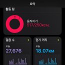 2023-0075 | 우당탕탕 오사카 여행 (5.6~5.9)/ 각종 위치 공유