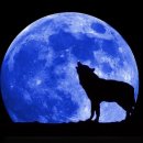 블루문(Blue Moon) 이미지