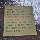 바른보쌈1990대구