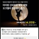 천문1길 | 강원도 아이랑 여름 휴가 여행지 오크밸리 &amp; 천문캠프 마이리얼트립 단독 특가