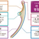 오라파워