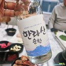 동문공설시장 | 제주 동문시장 횟집 식당 동해수산회센타 내돈내산 후기