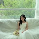 스튜디오 셀럽비비&amp;헤이브 다은쌤 헤어 변형 후기