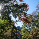금보이용소 | [20161009] 설악산 망할 망경대 패스하고 용소폭포-주전골-오색 개살방 탐방한 후기