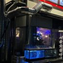 바다장어산꼼장어 이미지