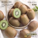 식탁을 생각하다. 단백질 소화를 촉진하고 콜레스테롤 감소에 탁월한 KIWI. 이미지