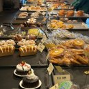 스테이550