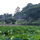 한물결의원 이미지