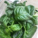 (주)테라팜 이미지