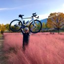 두물머리공원 이미지