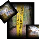보천 이미지