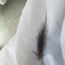 정다운스팀케어 | 어몽헤어 정다운 디자이너 수분케어 클리닉 받고왔어요!