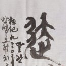 치유서예 Healing calligraphy- 達觀(달관) 이미지