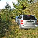 금남농협하나로마트고남점 이미지