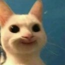 달달허이
