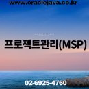 프로젝트성공관리 MSP실무활용 이미지