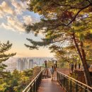 순환로 405번길 이미지