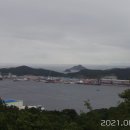 진정산공원 Daum카페