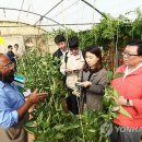 아인농장 이미지