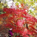 용덕사 - 용인시 처인구 이동면 | 용덕사