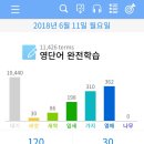 어른이 돼서 하는 성인영어 | 영어 앱 Duolingo, 완전학습, 일빵빵, 헬로톡 후기