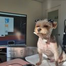 [부지런] 유튜브 영상제작 이미지