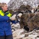 gc-camera-049 이미지