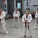 세심태권도 이미지