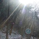 성수산자연휴양림 이미지