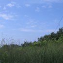 화봉주유소 이미지