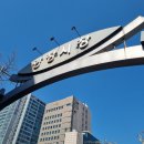 의귀중앙교차로 4가 3 | 광장시장 맛집 먹거리 추천, 박가네 육회 빈대떡 위치 후기, 찹쌀꽈배기