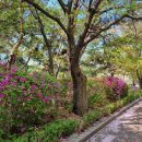 경희 행복나무 한의원 이미지