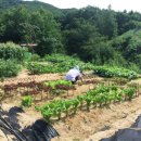 솔바위로그하우스 이미지