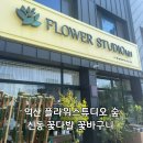 [익산] 익산꽃집 꽃다발 화분 잘하는집 플라워스튜디오숲
