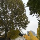 세븐일레븐종로창성점 이미지