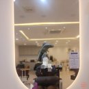 파보헤어 - 고양시 일산서구 주화로 70 | 일산 열펌 잘하는 미용실 파보헤어 주엽점 셋팅, 컷트 후기